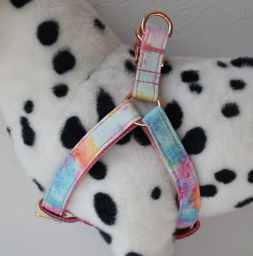 Pink Rainbow Dog Harness Set