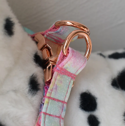 Pink Rainbow Dog Harness Set