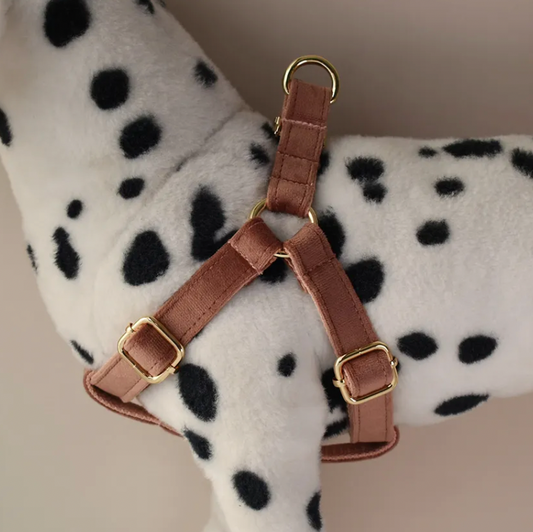 Coffee Dog Harness Set