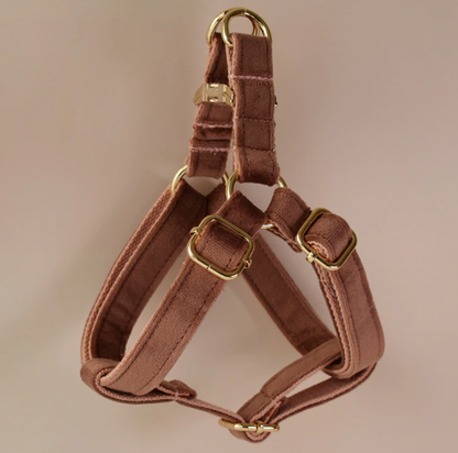 Coffee Dog Harness Set