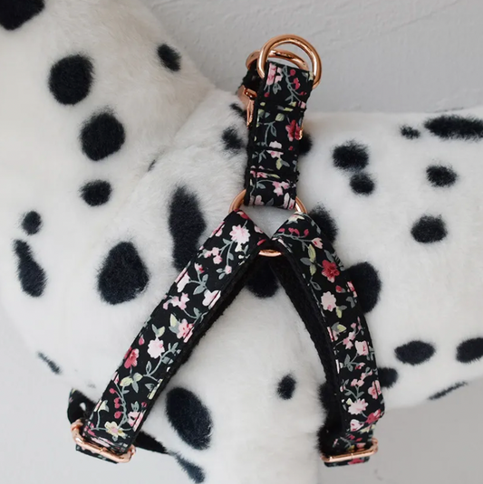 Midnight Flowers Dog Harness Set