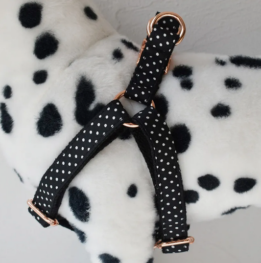 Black Polka Dot Dog Harness Set