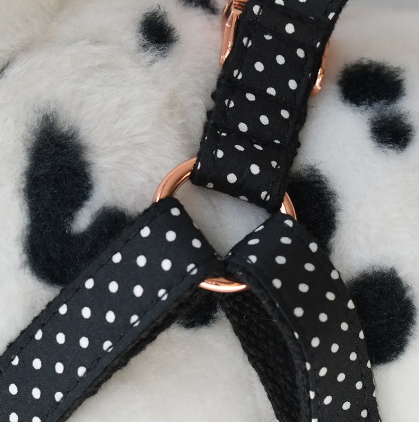 Black Polka Dot Dog Harness Set