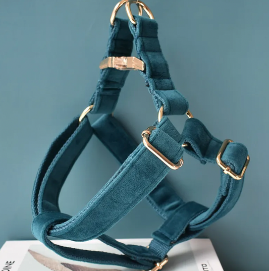 Peacock Blue Dog Harness Set