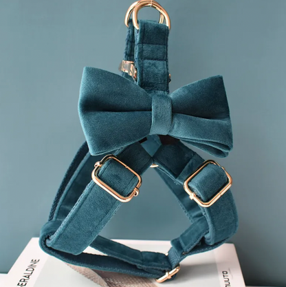 Peacock Blue Dog Harness Set