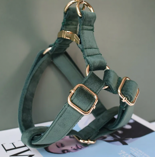 Emerald Dog Harness Set