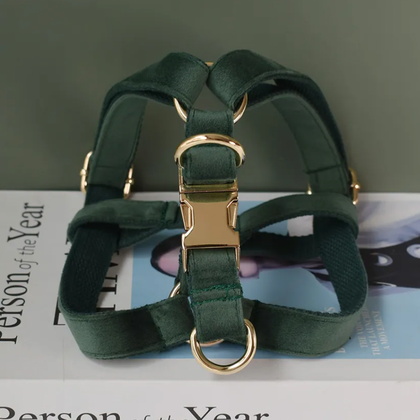 Emerald Dog Harness Set