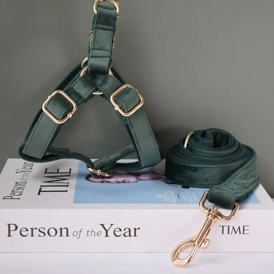 Emerald Dog Harness Set