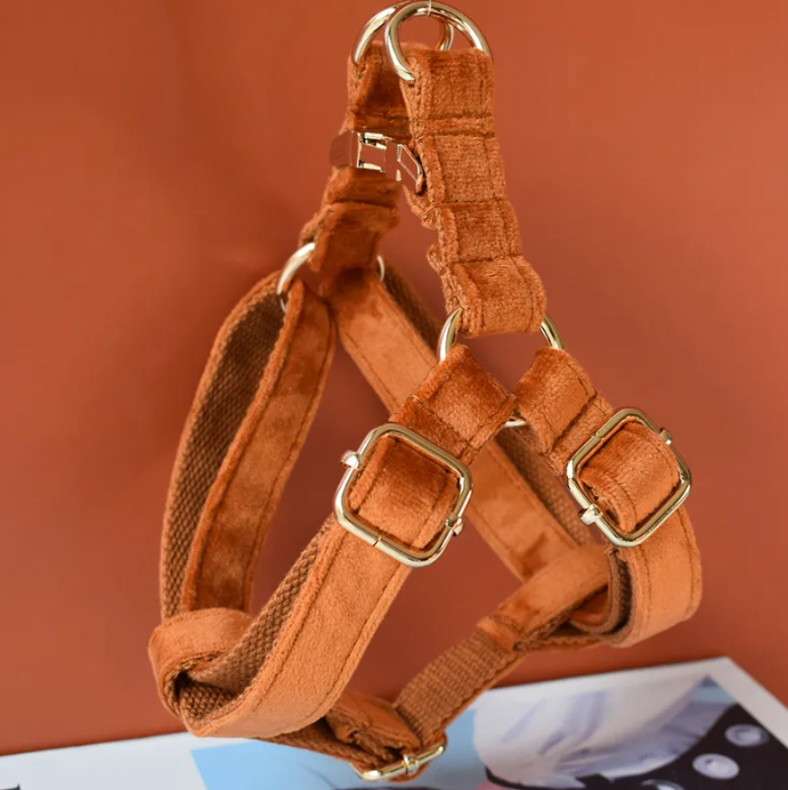 Burnt Orange Dog Harness Set