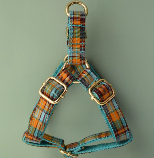 Blue Plaid Dog Harness Set