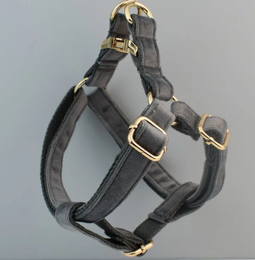 Grey Dog Harness Set