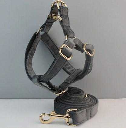 Grey Dog Harness Set