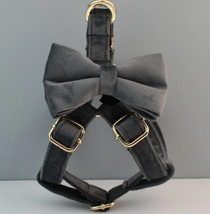 Grey Dog Harness Set