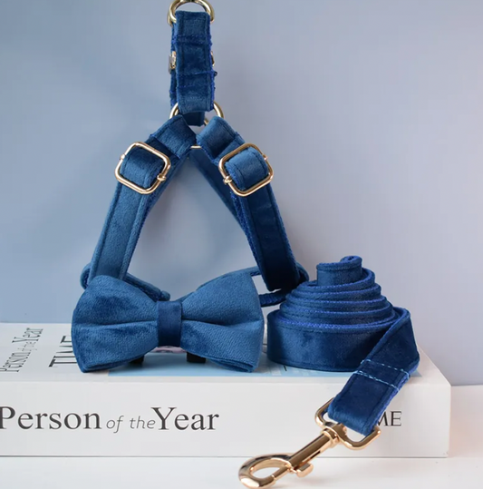 Royal Blue Dog Harness Set