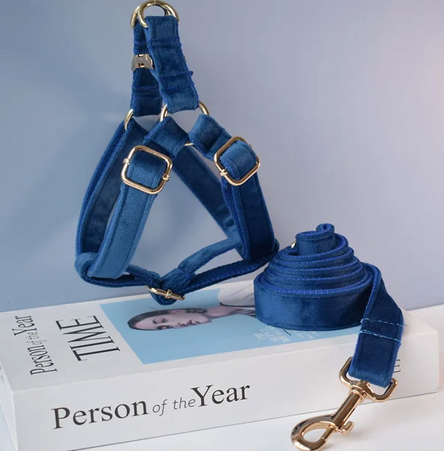 Royal Blue Dog Harness Set