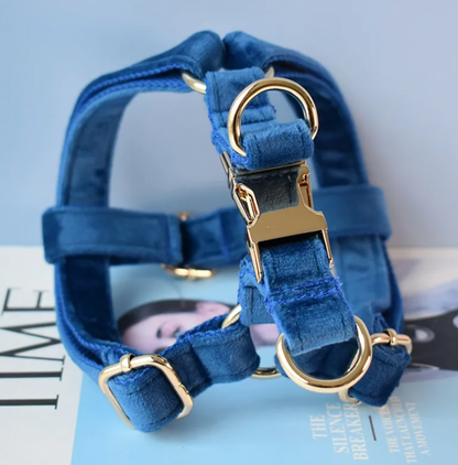 Royal Blue Dog Harness Set