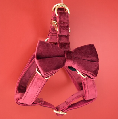 Burgundy Dog Harness Set