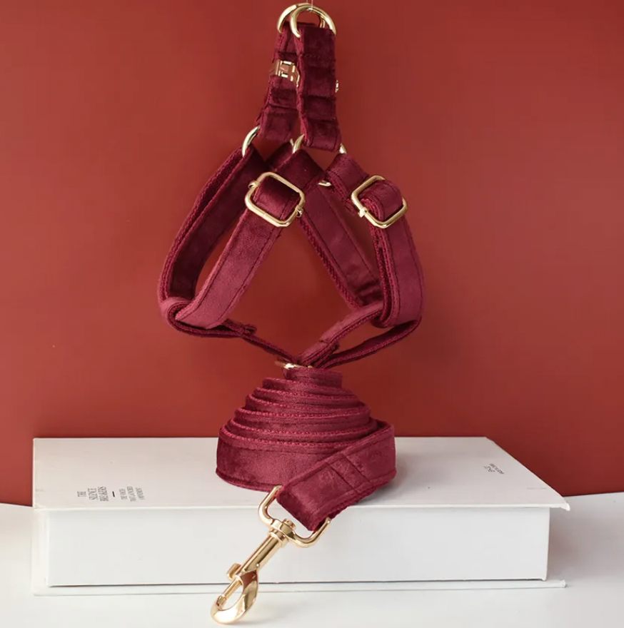 Burgundy Dog Harness Set