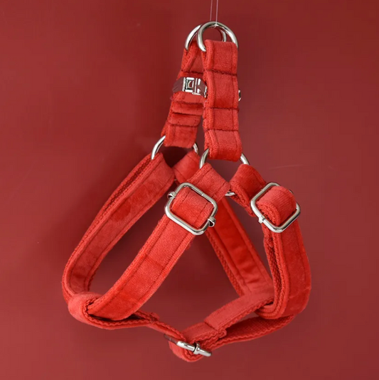 Cherry Red Dog Harness Set