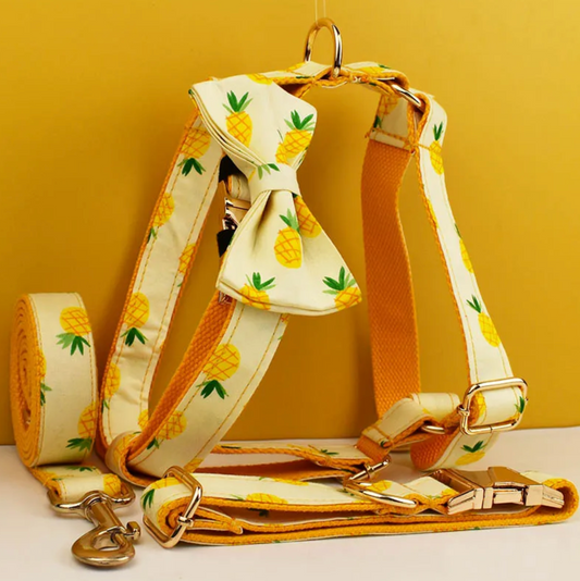 Pineapple Dog Harness Set