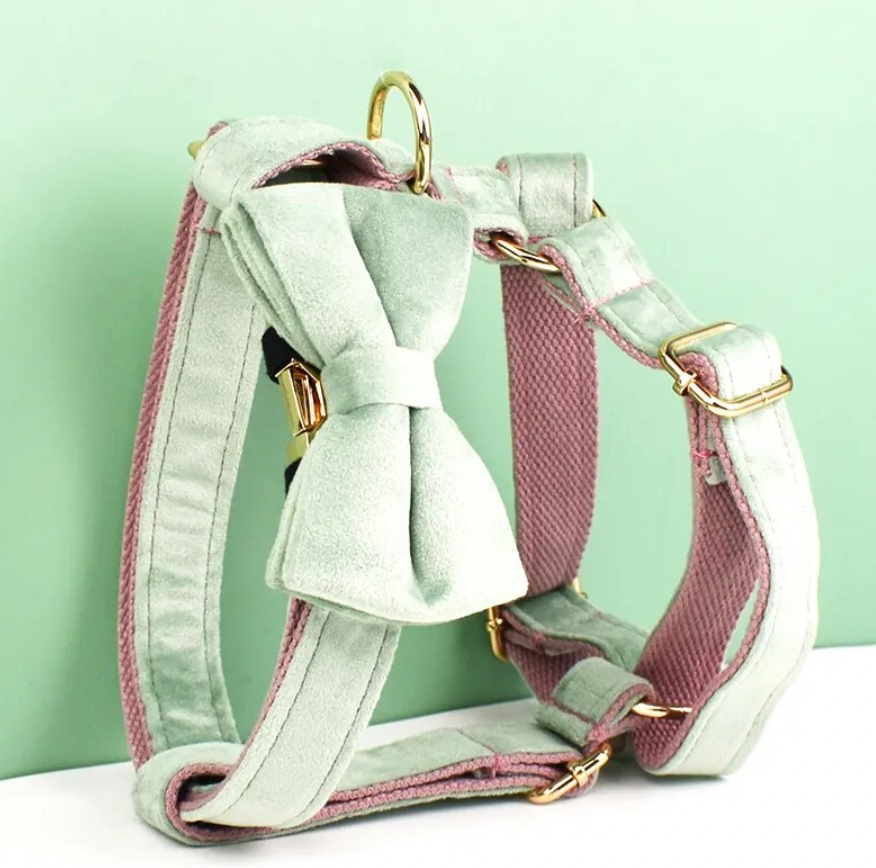 Pink Mint Dog Harness Set