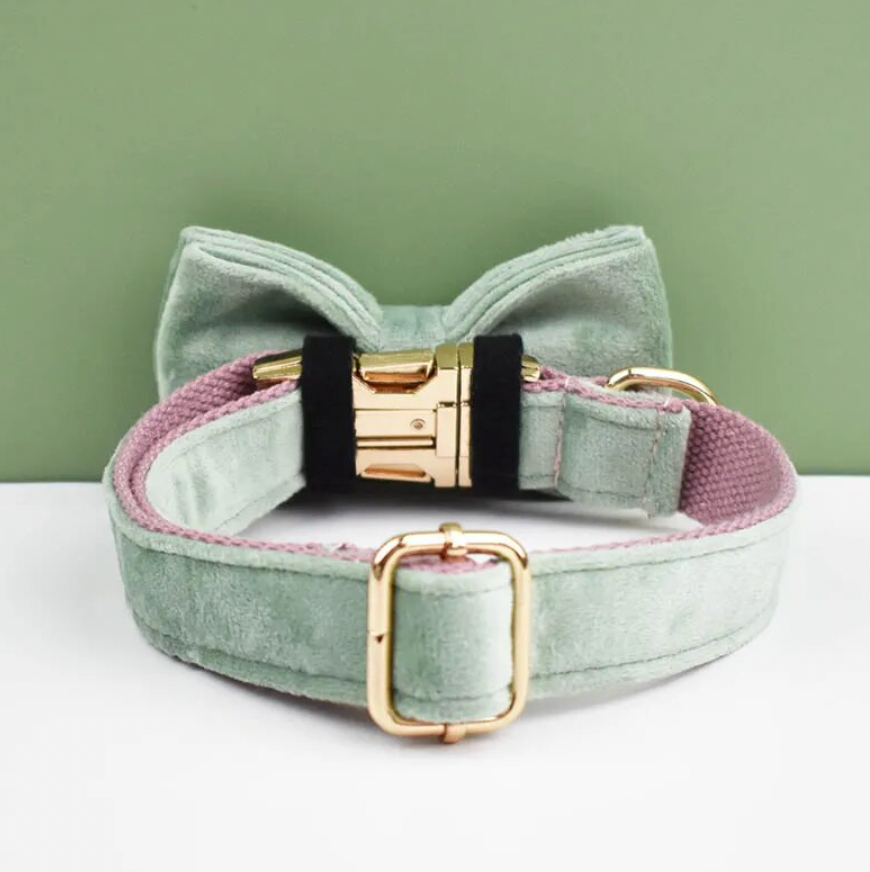 Pink Mint Dog Harness Set