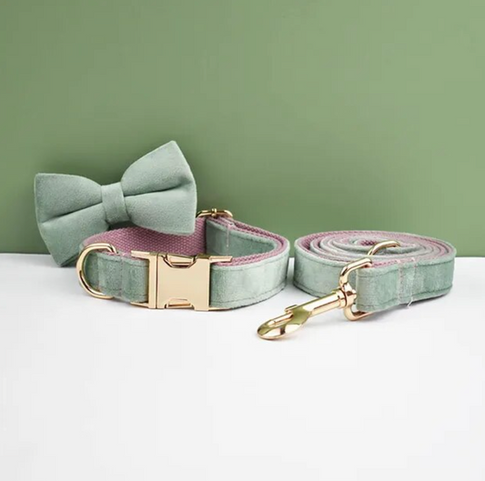 Pink Mint Dog Collar, Bow Tie & Matching Leash Set