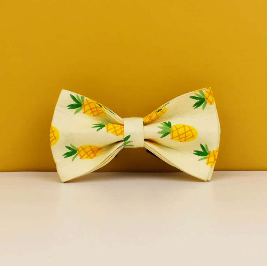 Pineapple Dog Collar, Bow Tie & Matching Leash Set