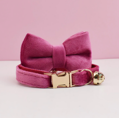 Personalised Velvet Cat Collar and Bow Tie