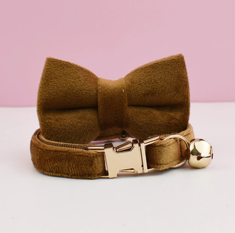 Personalised Velvet Cat Collar and Bow Tie