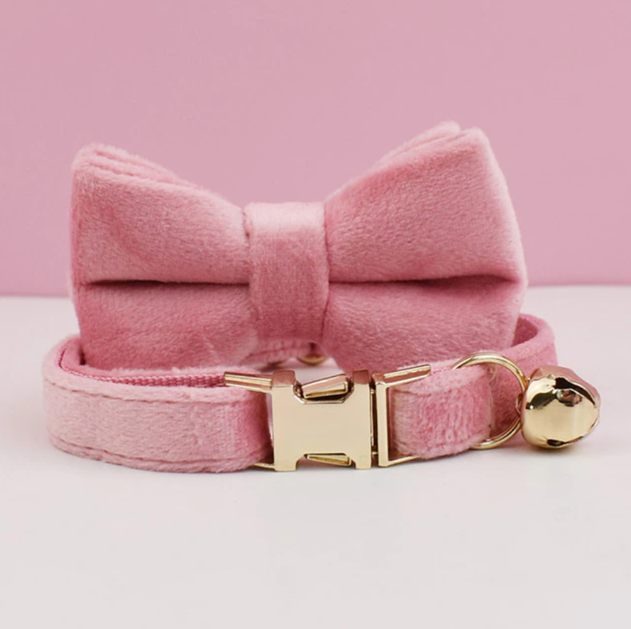 Personalised Velvet Cat Collar and Bow Tie