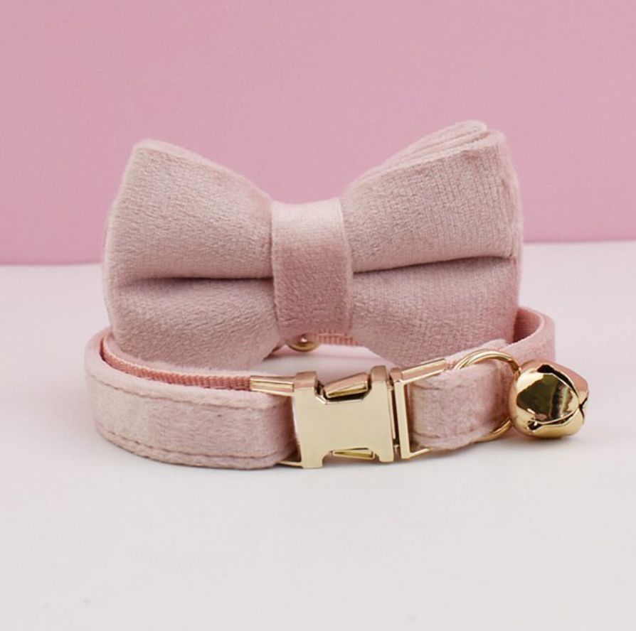 Personalised Velvet Cat Collar and Bow Tie